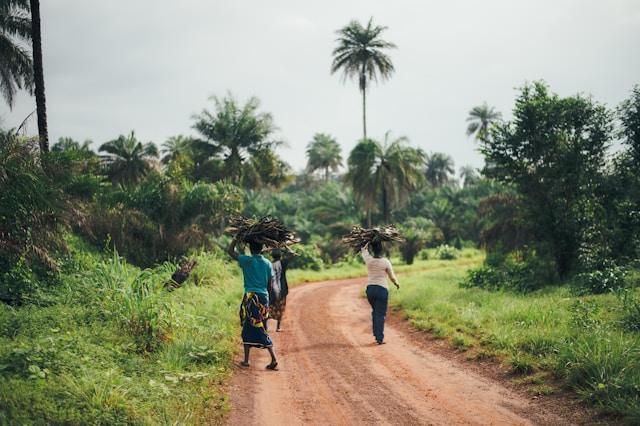 annie-spratt-wtk4VH8EU20-unsplash Kobiety niosą wiązki drewna na wiejskiej drodze w Sierra Leone, w Afryce Zachodniej (zdjęcie ilustracyjne)